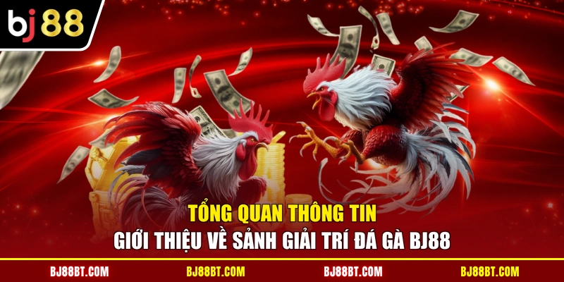 Tổng quan thông tin giới thiệu về sảnh giải trí đá gà BJ88