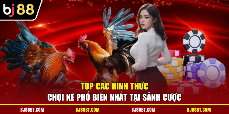 Top các hình thức chọi kê phổ biến nhất tại sảnh cược